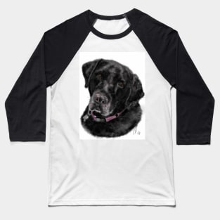 Black Labrador Retriever with a Pink Collar Baseball T-Shirt